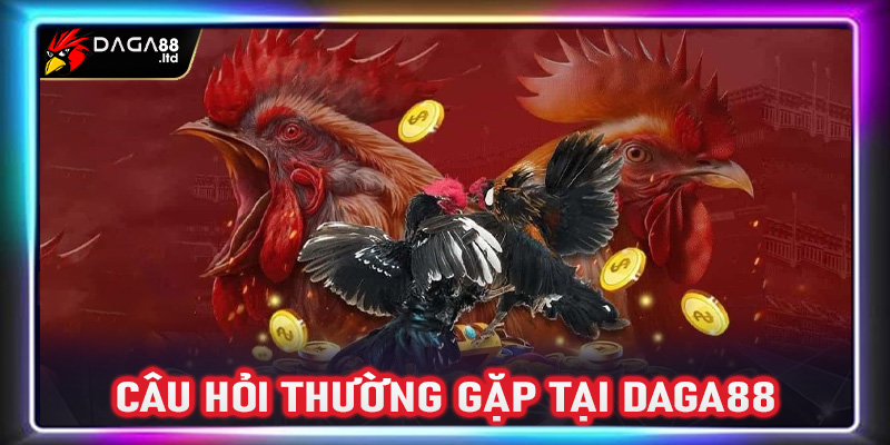 FAQs - Tổng hợp các câu hỏi thường gặp tại Daga88 